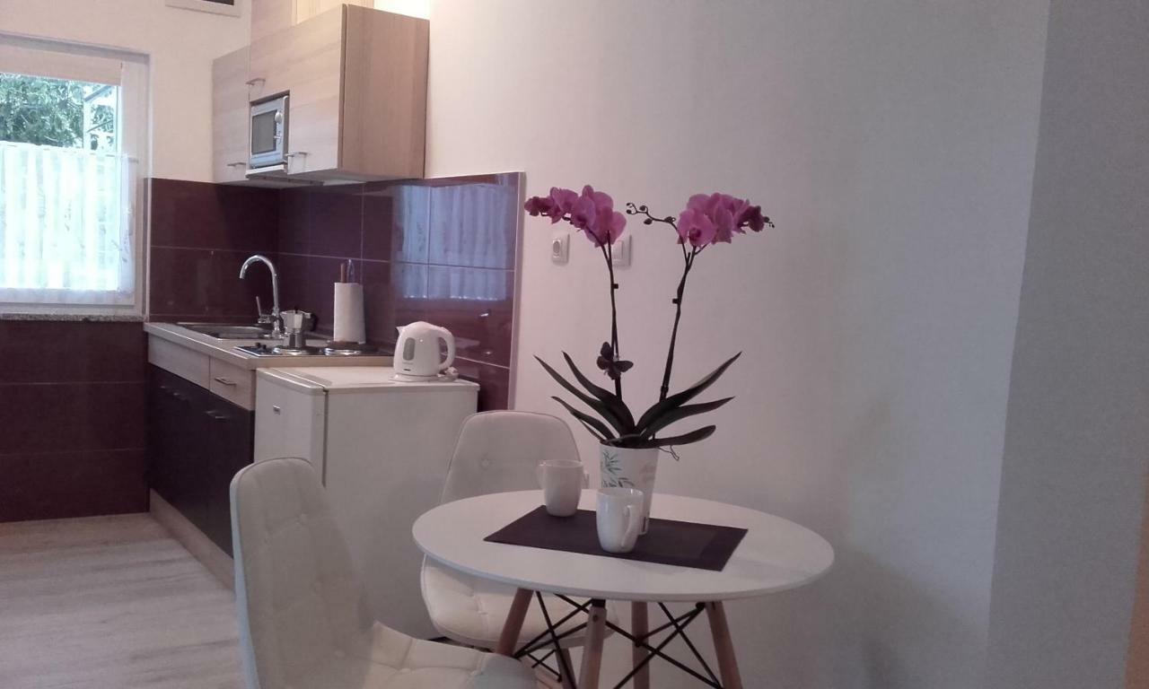 Apartment Tip Top Ровин Екстериор снимка